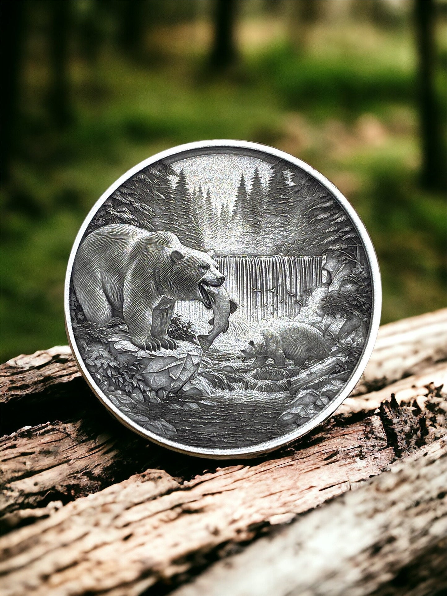 Riverside Serenity - Bears, Salmon, and Waterfall Brass Coin