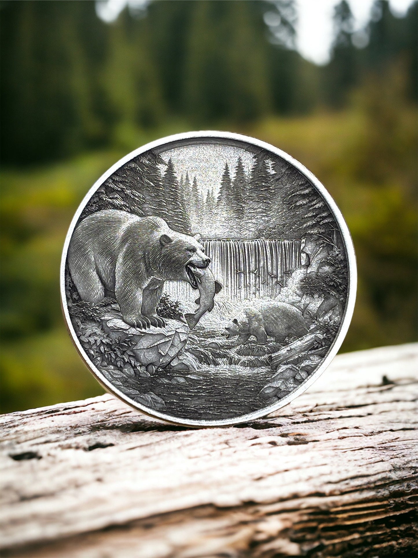 Riverside Serenity - Bears, Salmon, and Waterfall Brass Coin